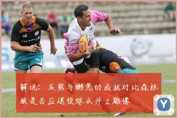 解说：灰熊与獭兔的成就对比森林狼是否应退役球衣并立雕像